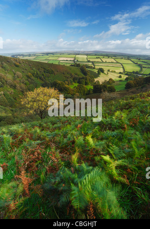 The Punchbowl on Winsford Hill. Exmoor National Park. Somerset. England. UK. Stock Photo