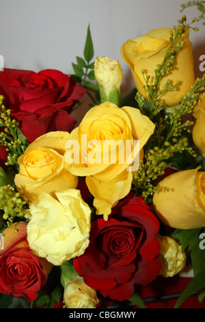 Roses, yellow, red with carnations Stock Photo