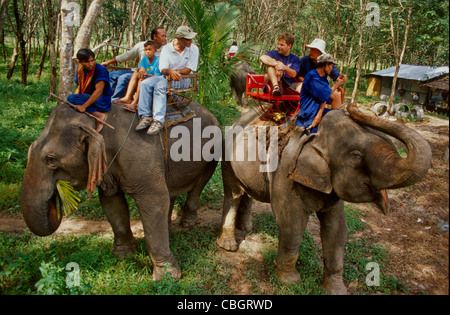Elephant Excursion in Krabi Stock Photo