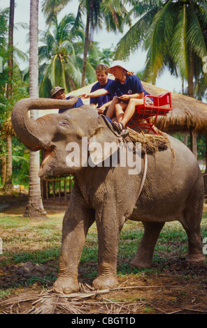 Elephant Excursion in Krabi Stock Photo