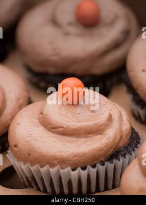 Decorated cupcakes on the display at the local farmers market. Stock Photo