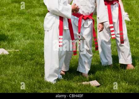 TaeKwonDo school practice on lawn in the park. Stock Photo