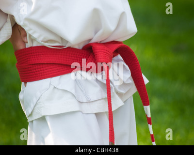 TaeKwonDo school practice on lawn in the park. Stock Photo