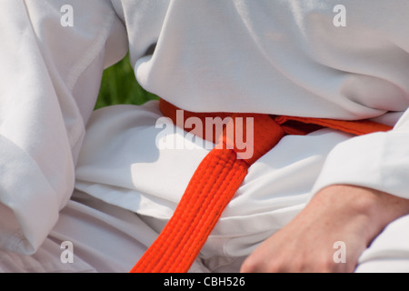 TaeKwonDo school practice on lawn in the park. Stock Photo