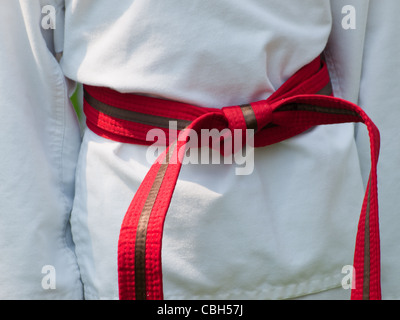 TaeKwonDo school practice on lawn in the park. Stock Photo