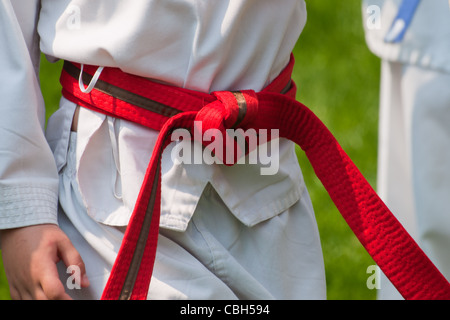 TaeKwonDo school practice on lawn in the park. Stock Photo