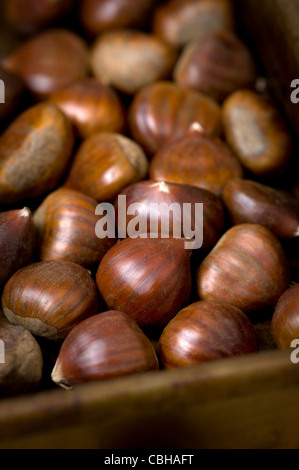 sweet chestnuts in a roasting tin Stock Photo