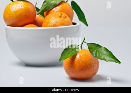 A clementine with stem and leaves beside a white bowl of clementines against a white background Stock Photo