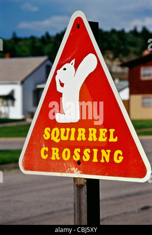 Squirrel Crossing Traffic Sign, Spearfish, SD Stock Photo