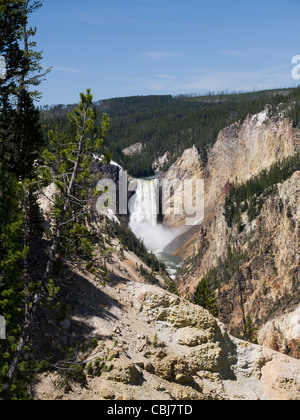 Yellowstone Falls consist of two major waterfalls on the Yellowstone River in State of Wyoming USA Stock Photo