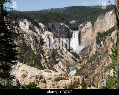 Yellowstone Falls consist of two major waterfalls on the Yellowstone River in State of Wyoming USA Stock Photo