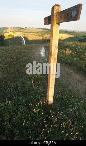 Bridleway signpost located on the South Downs Way on Beacon Hill near South Harting. Late afternoon in summer. Chalk path. Stock Photo