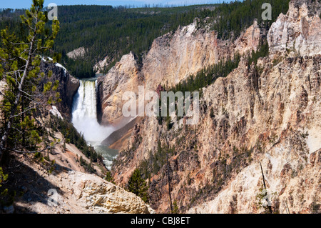 Yellowstone Falls consist of two major waterfalls on the Yellowstone River in State of Wyoming USA Stock Photo