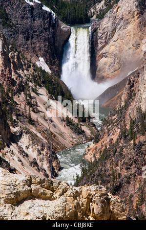 Yellowstone Falls consist of two major waterfalls on the Yellowstone River in State of Wyoming USA Stock Photo