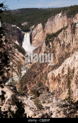 Yellowstone Falls consist of two major waterfalls on the Yellowstone River in State of Wyoming USA Stock Photo