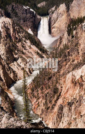 Yellowstone Falls consist of two major waterfalls on the Yellowstone River in State of Wyoming USA Stock Photo