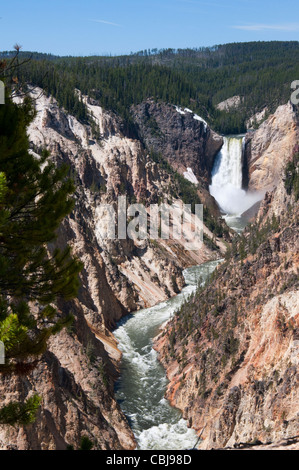 Yellowstone Falls consist of two major waterfalls on the Yellowstone River in State of Wyoming USA Stock Photo