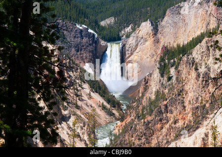 Yellowstone Falls consist of two major waterfalls on the Yellowstone River in State of Wyoming USA Stock Photo