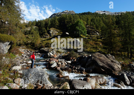 Hiking, Monte Rosa Massif, Alagna, Valsesia, Piedmont, Italy Stock Photo