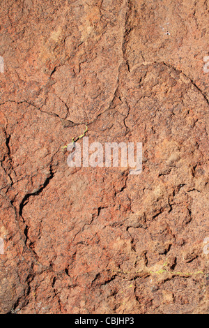 Textured dacite rock surface with reddish color and lichen Stock Photo