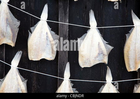 Fish drying on frame, Zuiderzee museum, Enkhuizen, Netherlands Stock Photo