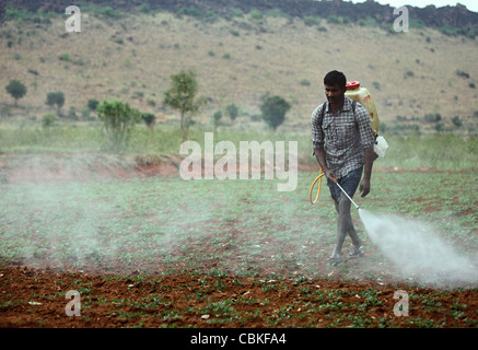 Indian man spraying pesticide unprotected Andhra Pradesh South India Stock Photo