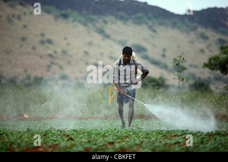 Indian man spraying pesticide unprotected Andhra Pradesh South India ...