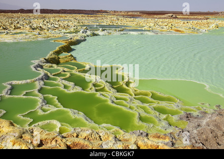 Dallol geothermal area, sinter terrace like structures in potassium salt deposits formed by brine hot springs, Ethiopia. Stock Photo