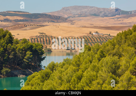 View across Guadalhorce dam, Malaga Province, Spain, to farmland and olive grove beyond. Embalse de Conde de Guadalorce. Stock Photo