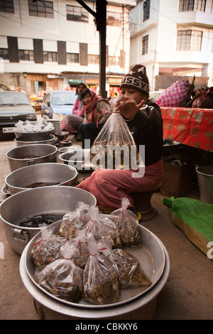 India, Nagaland, Kohima market, woman holding up plastic bag of live frogs in bazaar Stock Photo