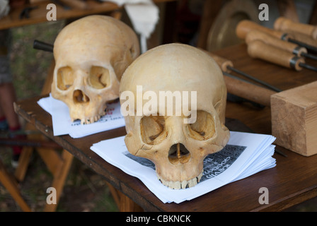 Pair of skulls next to old medical instruments on table in tent of historical reenactor at Robin Hood festival Stock Photo