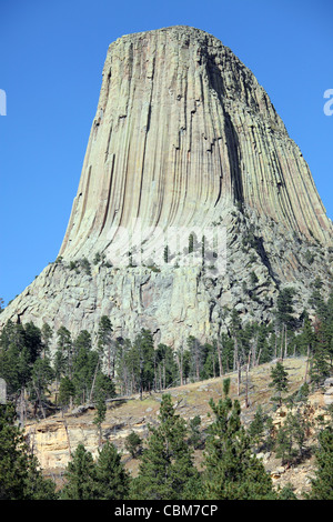 September 15, 2009 - Devils Tower, a monolithic igneous intrusion or laccolith made of columns of phonolite porphyry, Wyoming. Stock Photo