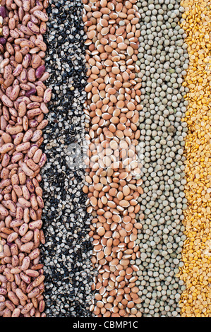 Pulses, seeds, bean and lentil pattern Stock Photo