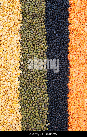 Pulses, seeds, bean and lentil pattern Stock Photo