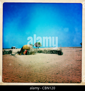 Aqal Soomaali, Somali Hut In The Lughaya Area Somaliland Stock Photo