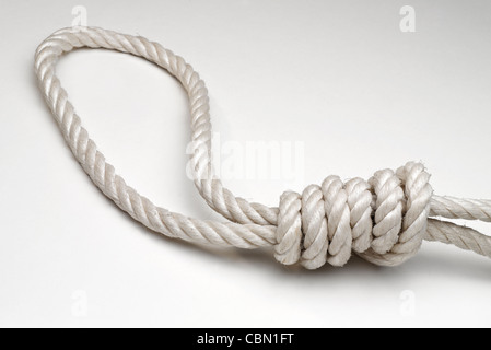Rope with hangman's noose on white background Stock Photo