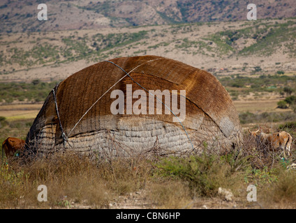 Aqal Soomaali, Somali Hut In The Bush Somaliland Stock Photo