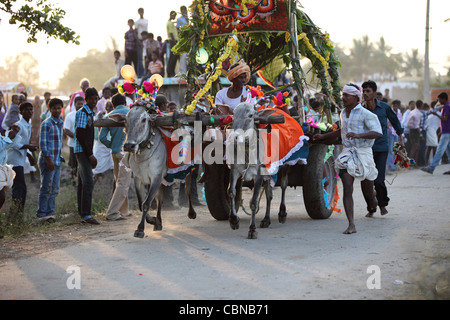 Bullock cart race and crowd Anantapur district in South India Andhra Pradesh South India Stock Photo