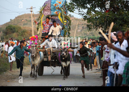 Bullock cart race and crowd Anantapur district in South India Andhra Pradesh South India Stock Photo