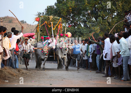 Bullock cart race and crowd Anantapur district in Andhra Pradesh South India Stock Photo