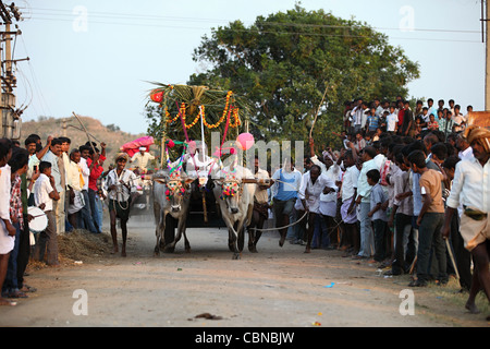 Bullock cart race and crowd Anantapur district in Andhra Pradesh South India Stock Photo