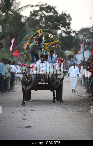 Bullock cart race and crowd Anantapur district Andhra Pradesh South India Stock Photo