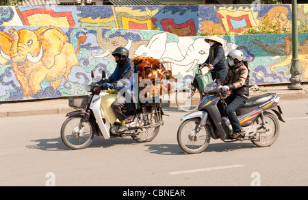 Ceramic Mosaic Mural  on dyke wall in Hanoi Vietnam Stock Photo