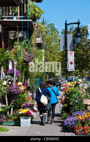 Bernard street Mile End sector Montreal Canada Stock Photo