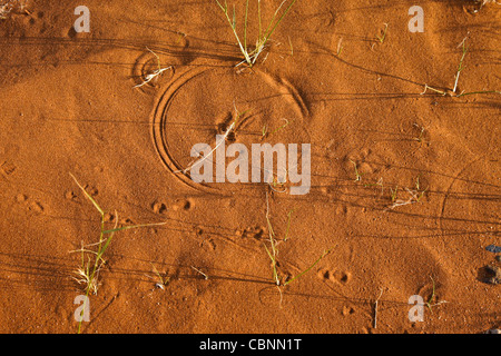 Patterns in red sand made by blowing grass Stock Photo