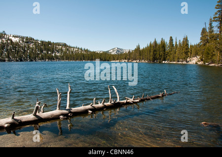 Scenic, Tenaya Lake, Yosemite National Park, California, USA. Photo copyright Lee Foster. Photo # california120879 Stock Photo