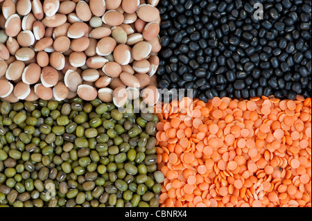 Pulses, seeds, bean and lentil pattern Stock Photo