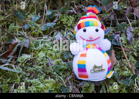 Toy snowman with frozen vegetation as a background showing the message 'Merry Christmas' Stock Photo