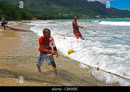 Local fisherman taking fish from the nets that have just been brought in from the Indian Ocean, Seychelles, Mahe Island Stock Photo