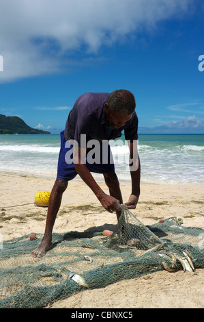 Local fisherman taking fish from the nets that have just been brought in, Seychelles, Mahe Island Stock Photo